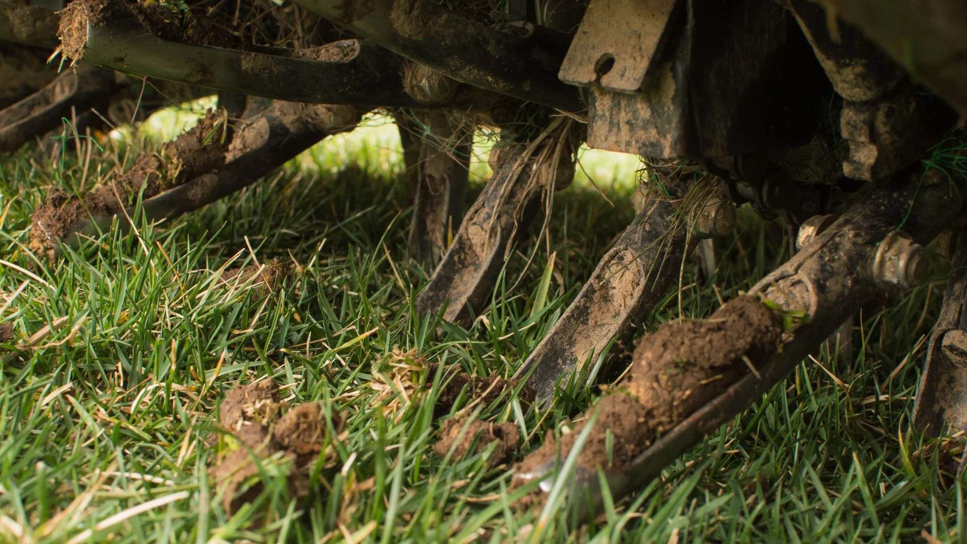 What Is the Purpose of Scheduling a Core Aeration Service?