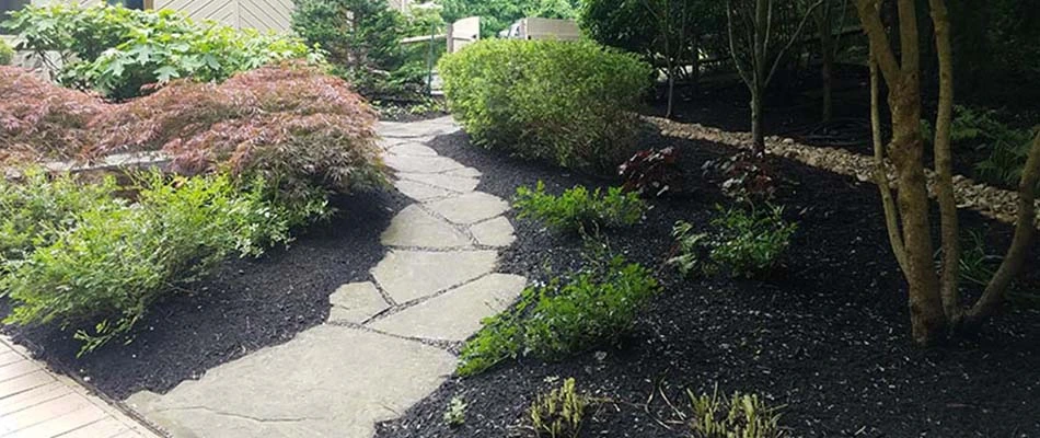 Landscape bed cleared and cleaned during a fall cleanup in Downingtown, PA.