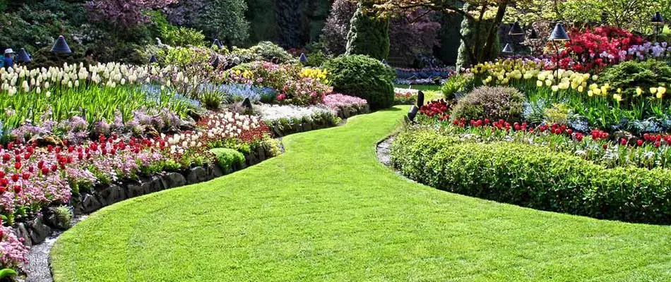 Healthy, green lawn with flowers near West Chester, PA.