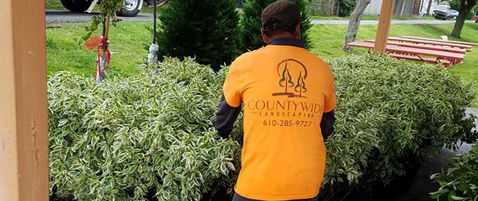 Landscape worker at a home in Exton, PA.
