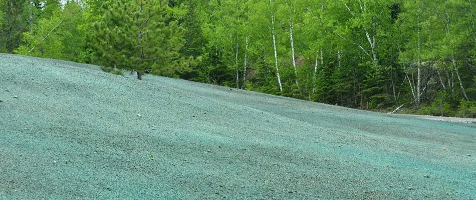 Large yard with hydroseeding near Downingtown, PA.
