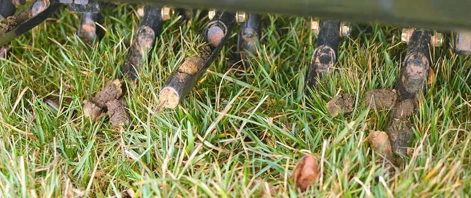 Core aeration equipment and lawn cores near Downingtown, PA.