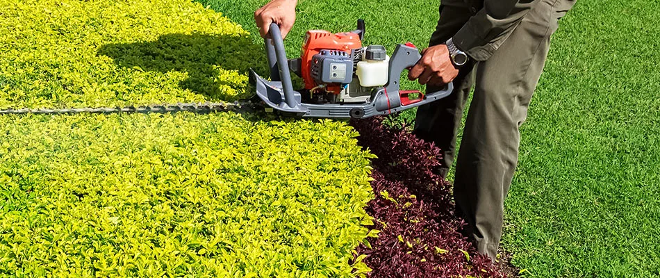 Landscape maintenance professional trimming shrub in West Chester, PA.