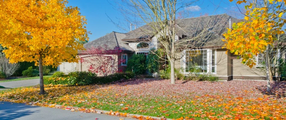 Leaves covering lawn for home in West Chester, PA.