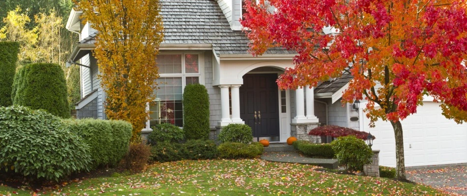 Leaves on a homeowner's property for removal service in West Chester, PA.