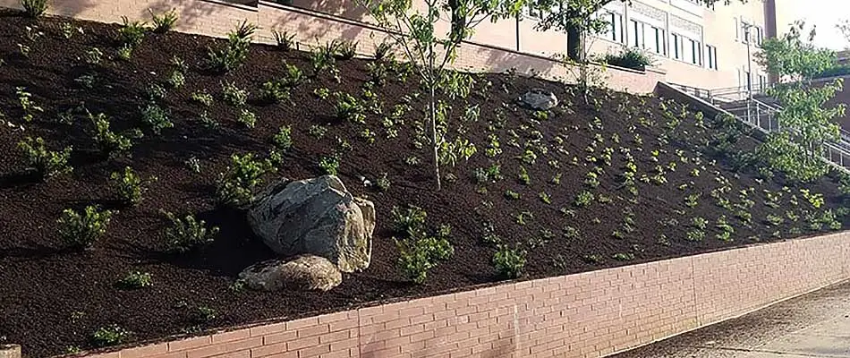 Mulch installation at a property in West Chester, PA.