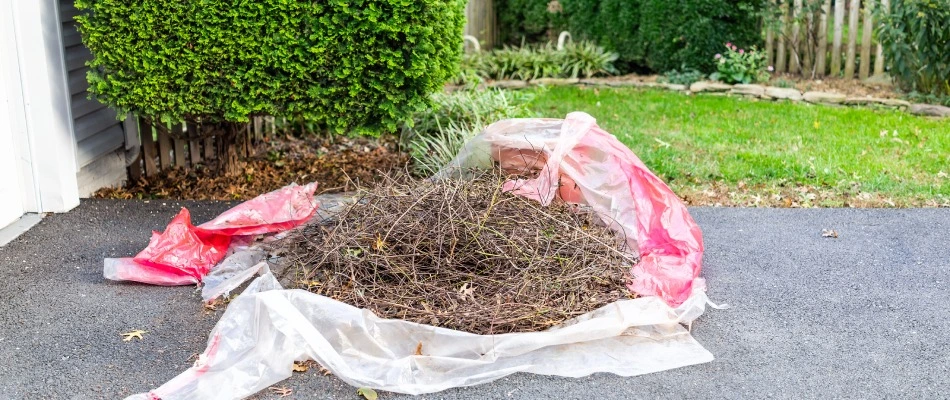 Pile of debris from lawn in Malvern, PA.