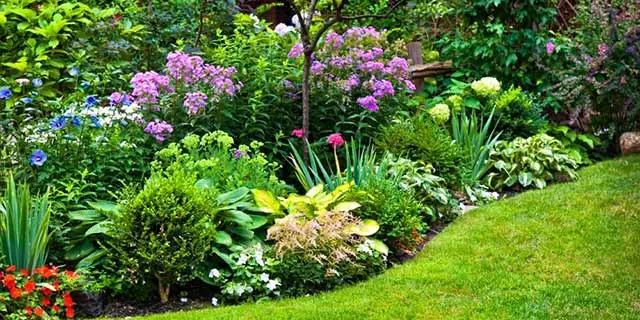 Beautiful softscapes designed for a Downingtown, Pennsylvania home.