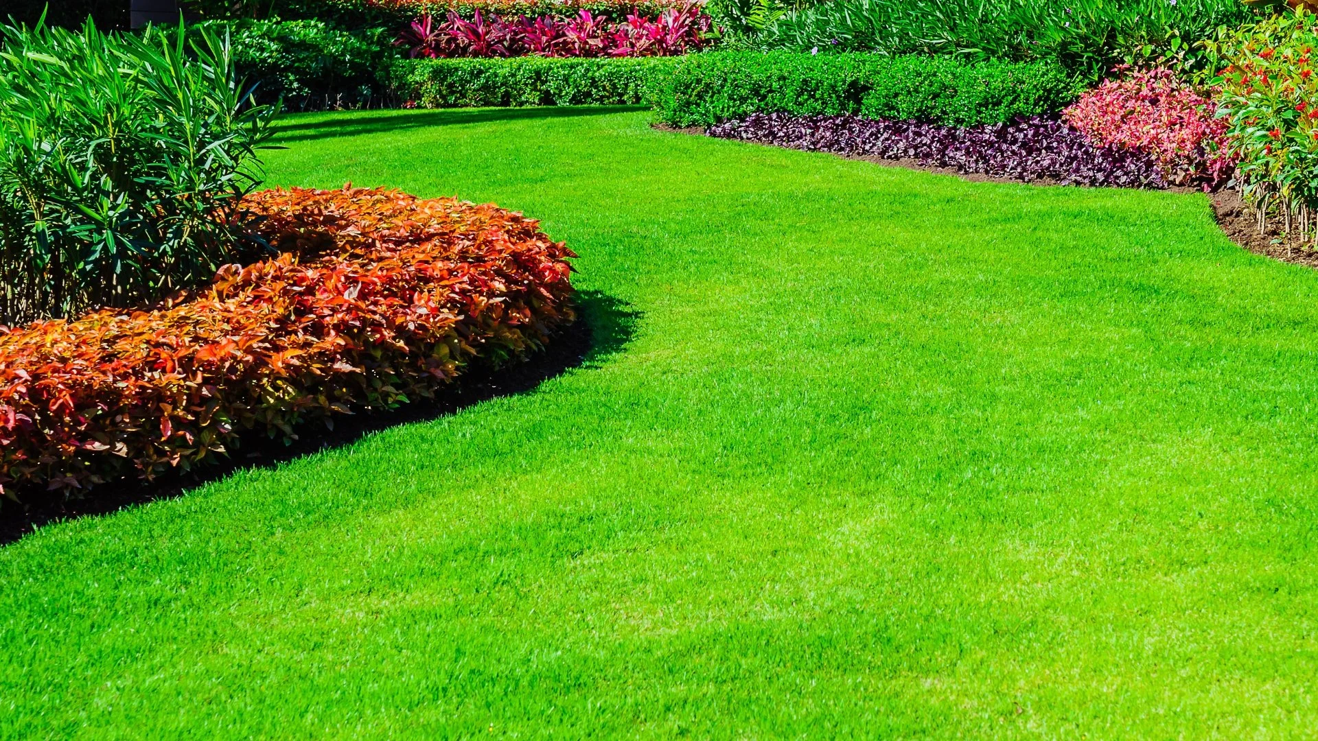 What Type of Fertilizer Should You Use for Your Lawn in the Spring?