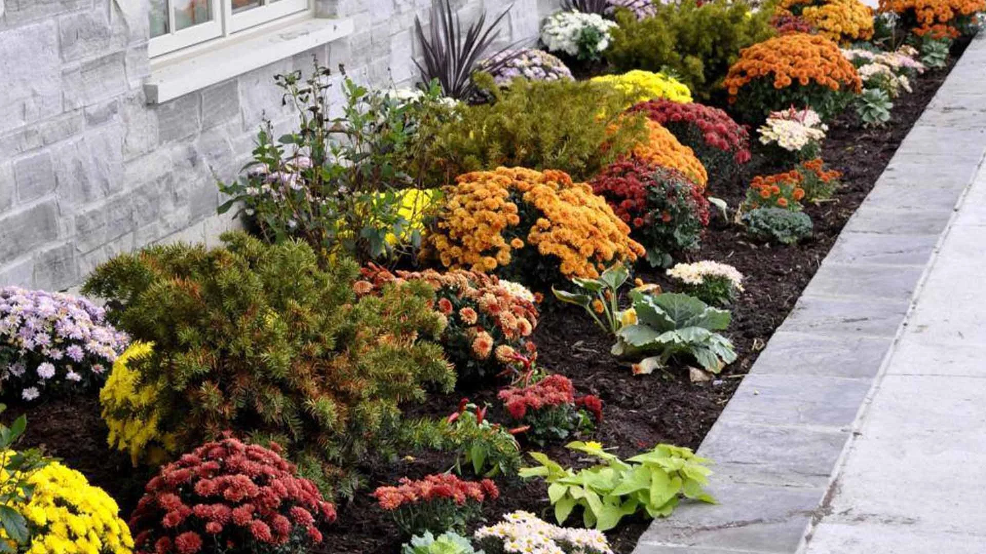 Landscape bed with a variety of plants and colors in Downingtown, PA.
