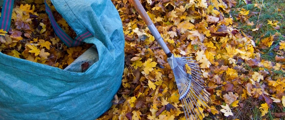 Pile of leaves with bag and rake in Chester Springs, PA.